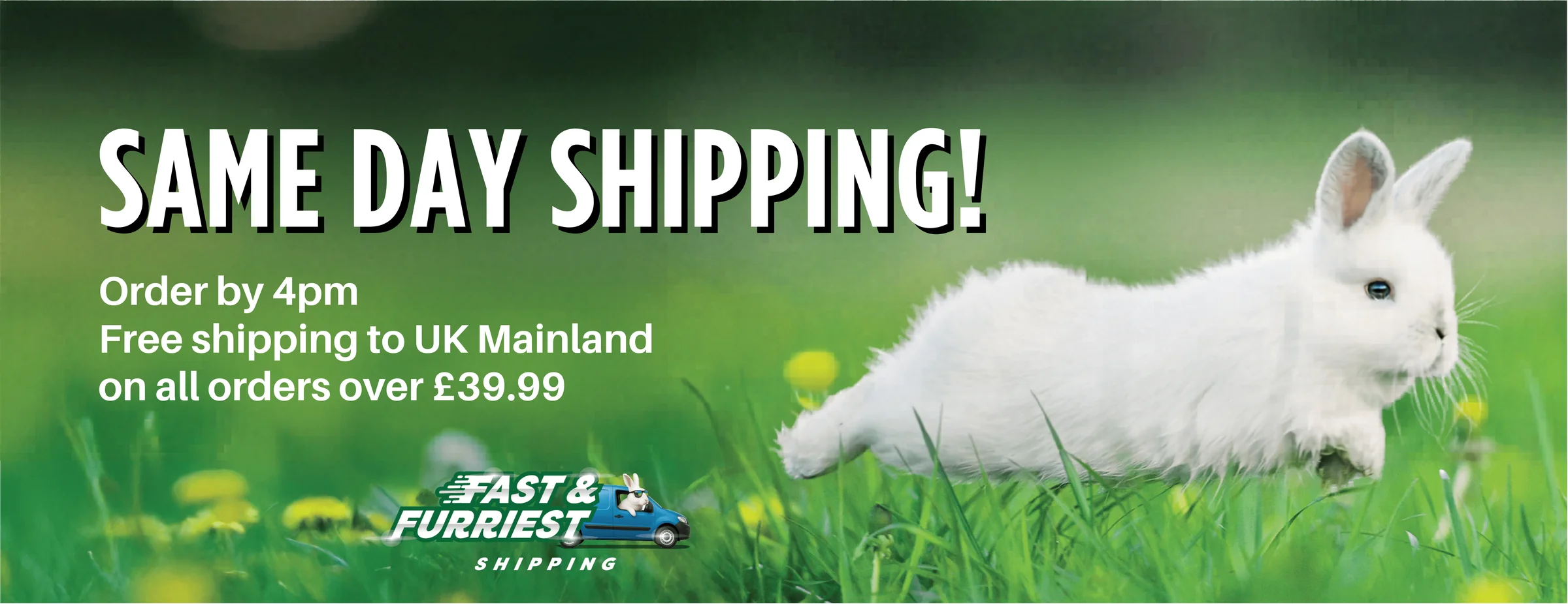 Freshness Your Small Pets Crave